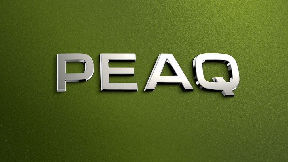 Škoda’nın Yeni Amiral Gemisi SUV’u “Peaq” Sahneye Çıkıyor